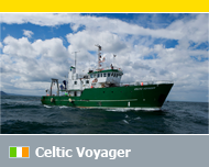 Celtic Voyager
